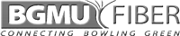 BG Networking, LLC